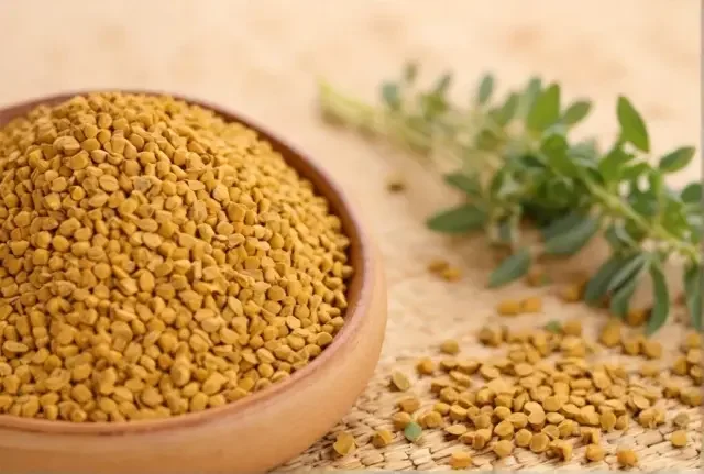 Fenugreek seeds